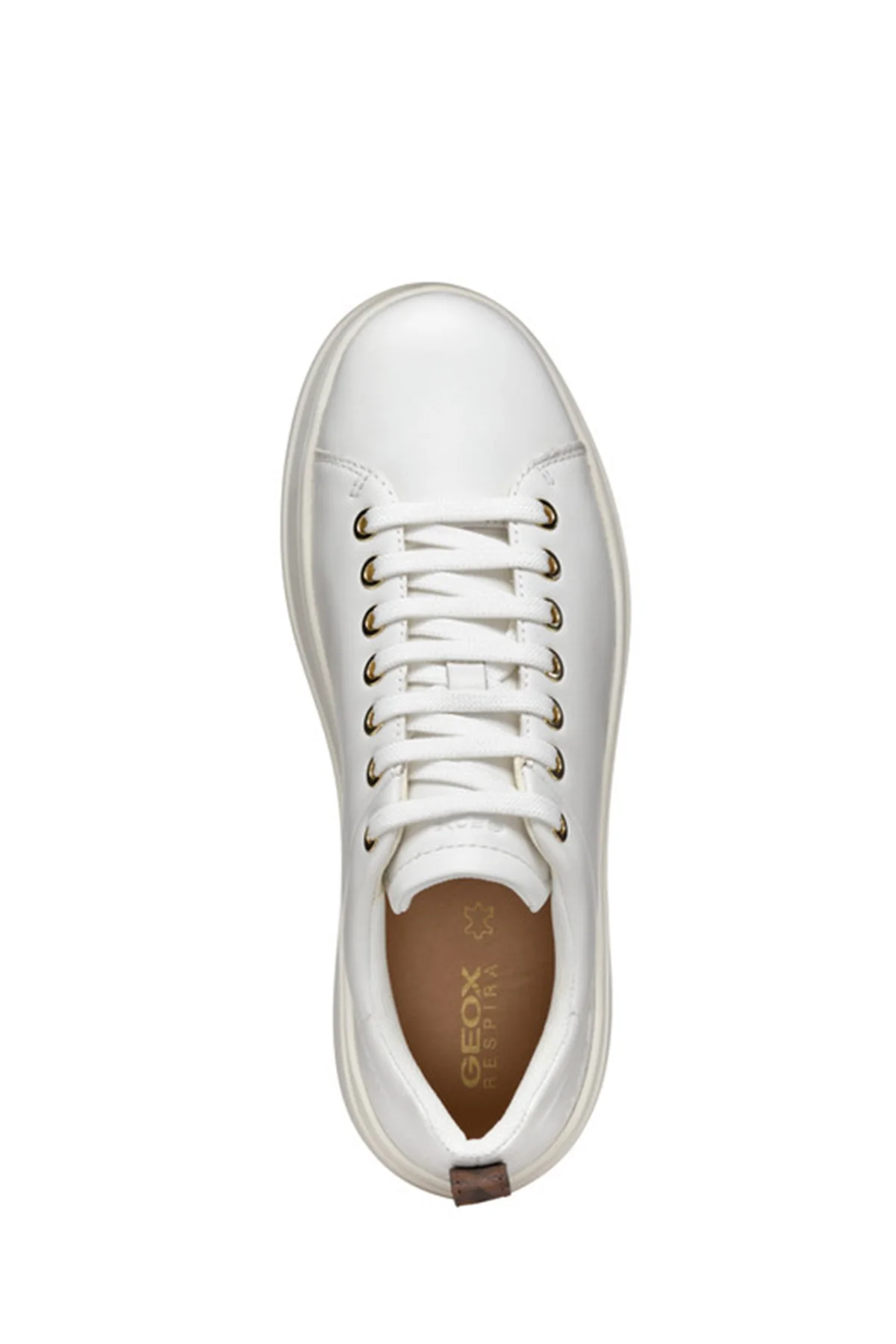 Geox Kadın Beyaz Spherica Ecub-2 Bağcıklı Deri Sneaker - Image 7